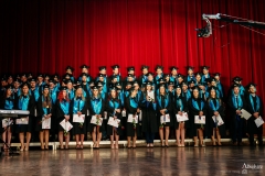 AIMG-133